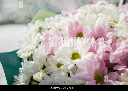 Bouquet von schönen Chrysanthemen.schöne Tapete von verschiedenen Chrysanthemen Blumen. Chrysanthemen blühen Jahreszeit. Viele Blumen zum Verkauf in Stockfoto