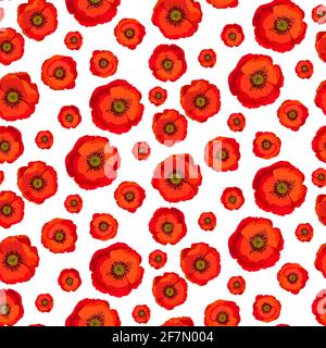 Nahtlose Muster roten Mohnblumen isoliert auf weißem Hintergrund. Helle Blumen Mohnblumen perfekte Passform für Design-Cover, Textil, Stoff, Tapete, Verpackung, Stock Vektor