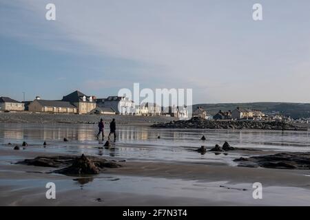 Ein Paar, das mit Baumstümpfen am Strand entlang ging Der versteinerte Wald um sich herum und die bunten Häuser von borth im Hintergrund Stockfoto