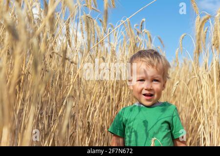 Portrait von niedlichen kleinen kaukasischen blonden lächelnden glücklichen Jungen, der durch reife goldene Weizenfeld-Wiesenlandschaft vor blauem klarem Himmel geht. Witzig klein Stockfoto