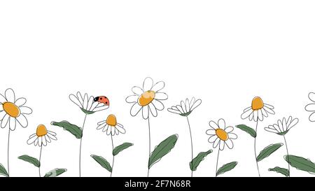 Nahtlose Grenze der Gänseblümchen Hand in vereinfachten Kinder Cartoon gezeichnet Naiver Stil auf weißem Hintergrund.Süße Marienkäfer auf Blume sitzend.für Design Von Bahnen Stock Vektor