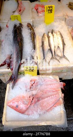 Chinatown, New York City, Fischgeschäft, Fisch auf dem Display Stockfoto