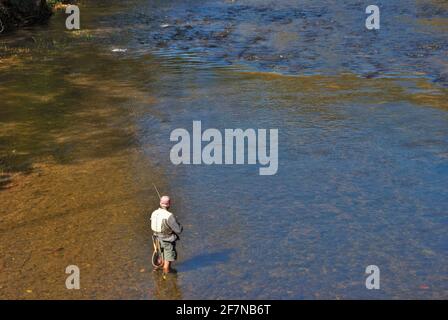 Nicht erkennbarer alter Mann, der im kleinen Fluss Gatlinburg Tennessee fischt Stockfoto