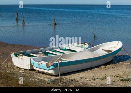 Zwei traditionelle mexikanische Panga Fischerboote sitzen bei Ebbe auf dem Sand entlang der Bucht von Campeche, Campeche, Mexiko. Stockfoto