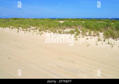Blick auf die Sanddünen am Strand von Avon-by-the-Sea an der Küste von New Jersey, USA Stockfoto