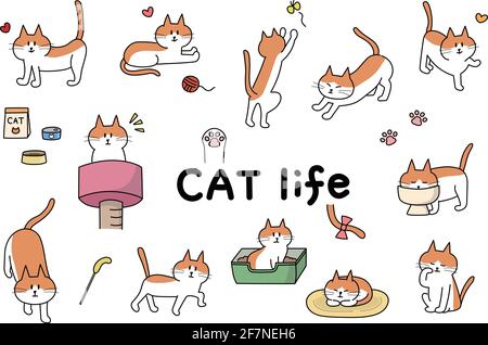 Set aus dem täglichen Leben der Katze. Vektordarstellung auf weißem Hintergrund isoliert. Stock Vektor