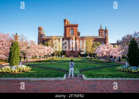 Ein Tourist fotografiert das Schloss im Enid A. Haupt Garden, Smithsonian Institution, in Washington, D.C. Stockfoto