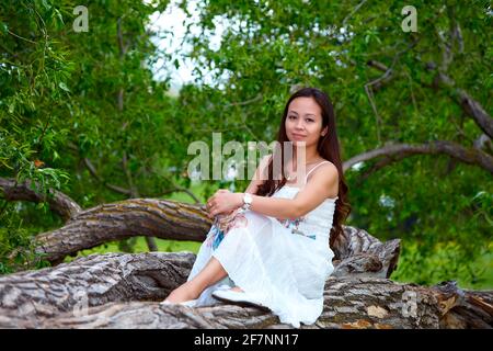 Ganzkörperexposition Erwachsene philippinische Frau in Kleid Blick auf die Kamera Während Sie sich am Sommertag auf dem Baumstamm entspannen Wald Stockfoto