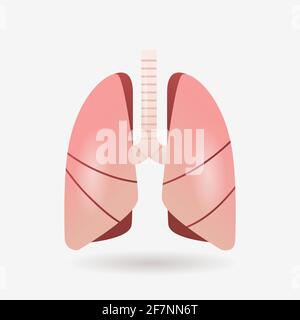 Lungen Symbol menschliches inneres Organ Anatomie Biologie Gesundheitswesen medizinisches Konzept Atmungssystem flach Stock Vektor