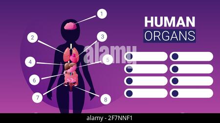 Infografik-Poster zur menschlichen Körperstruktur mit Symbolen weiblicher innerer Organe Anatomie-Systemplatine Hochformat horizontal Stock Vektor