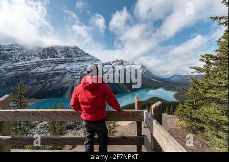 Mann im Wintermantel steht und blickt auf den Peyto See im Banff Nationalpark, Kanada Stockfoto