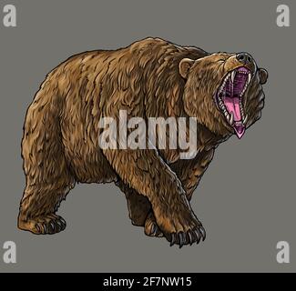 Grizzly Bear, Höhlenbär-Illustration. Zeichnung des Bärenangriffs. Stockfoto