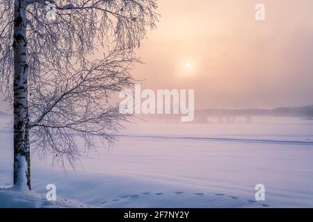Malerische Winterlandschaft mit einsamen Kahn fallenden Baum und Sonnenaufgang am Morgen Zeit in Finnland. Stockfoto