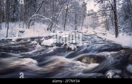 Malerische Winterlandschaft mit fließenden Fluss und Morgen in Finnland. Snowy Landscape. Stockfoto