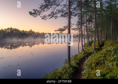 Malerische Naturlandschaft mit Stimmungsnebel und schönem Sonnenaufgang Früher Sommermorgen in Finnland am See Stockfoto