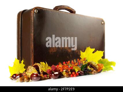 Alter Koffer mit Herbstblättern isoliert auf weißem Hintergrund Stockfoto