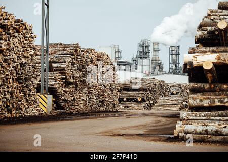 Lagerhaus von gefällten Bäumen in der Fabrik. Rauchende Fabrikschornsteine verschmutzen die Atmosphäre. Das holzverarbeitende Unternehmen zerstört Wälder und schädigt Stockfoto
