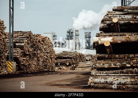 Lagerhaus von gefällten Bäumen in der Fabrik. Rauchende Fabrikschornsteine verschmutzen die Atmosphäre. Das holzverarbeitende Unternehmen zerstört Wälder und schädigt Stockfoto