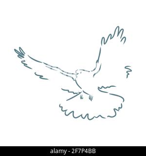 Fliegende Taube Illustration isoliert auf weißem Hintergrund Stock Vektor
