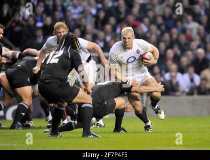ENGLAND V NEUSEELAND IN TWICKENHAM 21/11/09. JAMES HASKELL HAT SICH EIN BILD VON DAVID ASHDOWN GEMACHT Stockfoto