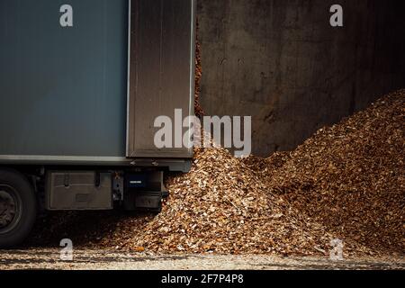 Der LKW entlädt Tonnen Holzabfälle. Sägemehl und Späne werden zur Weiterverarbeitung gelagert. Berg von Altholz Stockfoto