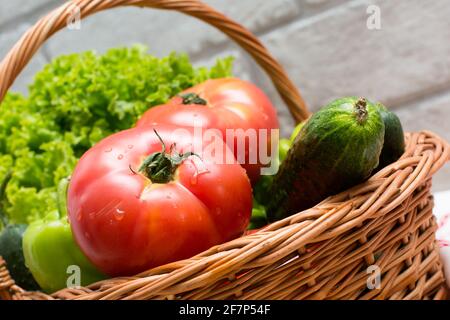 Frisches Gemüse mit Wassertropfen im Korb bedeckt. Bio-Tomaten, Gurken, Pfeffer und kräftig grüner Salat vom Markt. Frische Rohkost Konz Stockfoto