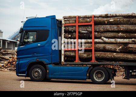 Der Frontlader transportiert das geerntete Holz in der Fabrik. Der industrielle Transport arbeitet in einem Lager. Beladung von Holzrohstoffen auf einem Förderband Stockfoto