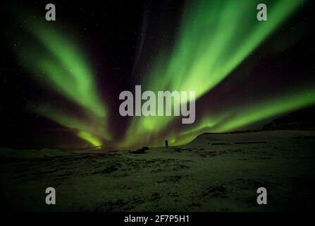 Eine Einzelfigur am Horizont blickt auf die aurora borealis in der Nähe von Tromso, Nordnorwegen. Stockfoto