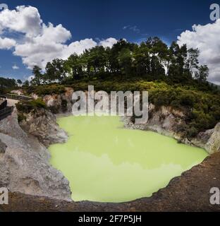 Devil's Cave Pool, Wai-O-Tapu Thermalpark, Rotorua, Nordinsel, Neuseeland. Stockfoto