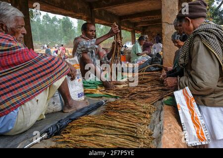 Laxmipur, Indien - Februar 2021: Männer verkaufen Tabakblätter auf dem Wochenmarkt in Laxmipur am 20. Februar 2021 in Odisha, Indien. Stockfoto