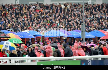 RACING CHELTENHAM FESTIVAL 2010 4TH TAG 19/3/10. DER GOLD CUP. BILD DAVID ASHDOWN Stockfoto