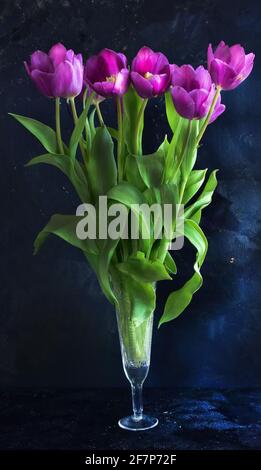 Bild eines Straußes aus violetten Tulpen mit lebhaften Blumen in einem Glas auf schwarzem Hintergrund. Stockfoto
