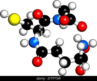 Glutathion (oxidiertes Glutathion, GSSG)-Molekül. 3D-Rendering. Atome werden als Kugeln mit konventioneller Farbkodierung dargestellt: Wasserstoff (weiß), ca. Stock Vektor