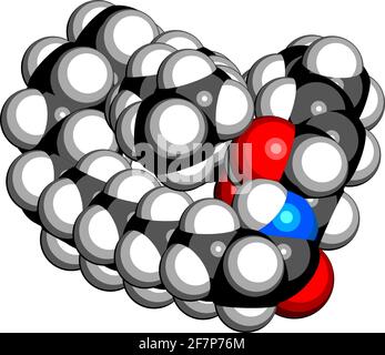 Lipidmolekül der Ceramidzellmembran. 3D-Rendering. Atome werden als Kugeln mit herkömmlicher Farbkodierung dargestellt: Wasserstoff (weiß), Kohlenstoff (schwarz) Stock Vektor