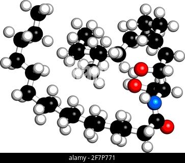 Lipidmolekül der Ceramidzellmembran. 3D-Rendering. Atome werden als Kugeln mit herkömmlicher Farbkodierung dargestellt: Wasserstoff (weiß), Kohlenstoff (schwarz) Stock Vektor