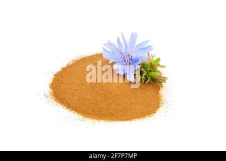 Zichorien-Wurzelpulver mit blauer Blume isoliert auf weißem Hintergrund. Haufen Chicorée Kaffee, Bio-Lebensmittelzusatz Stockfoto