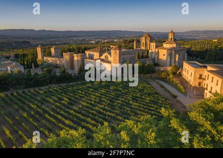 Luftaufnahme der Abtei Poblet, bei Sonnenuntergang, zwischen Weinbergen (Provinz Tarragona, Katalonien, Spanien) ESP: Vistas aéreas del Real Monasterio de Poblet Stockfoto