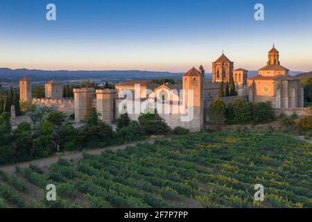 Luftaufnahme der Abtei Poblet, bei Sonnenuntergang, zwischen Weinbergen (Provinz Tarragona, Katalonien, Spanien) ESP: Vistas aéreas del Real Monasterio de Poblet Stockfoto