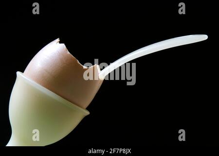 Gekochtes Frühstücksei mit einem Eierlöffel in einem Ei becher Stockfoto