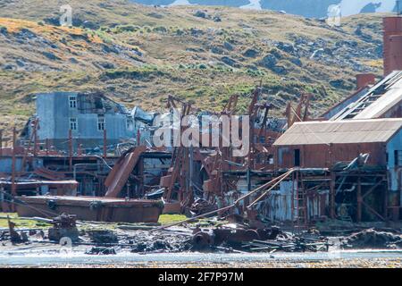 Die Walfangstation in Leith, die von Christian Salvesen Südgeorgien betrieben wird. Antarktis Stockfoto