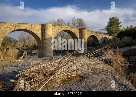 El Pont de Vilomara mittelalterliche Brücke über den Fluss Llobregat (Provinz Barcelona, Katalonien, Spanien) ESP: El puente medieval de El Pont de Vilomara Stockfoto