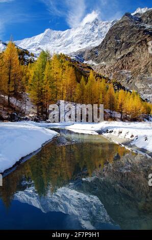 SaaS Fee, Mischabel-Massiv mit Dom spiegelt sich in einem Schmelzwasserstrom des Fee-Gletschers, Schweiz, Wallis, Saas Fee wider Stockfoto