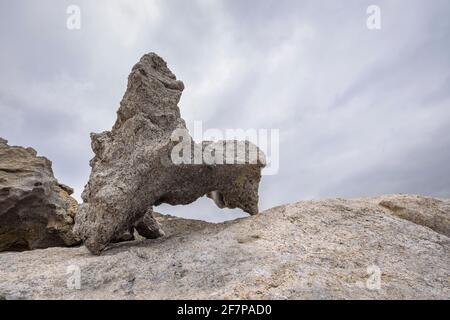 Gesteine mit ursprünglichen geologischen Formen von Pla de Tudela, in Cap de Creus (Costa Brava, Katalonien, Spanien) ESP: Rocas y Fordas geológicas en Cap de Creus Stockfoto