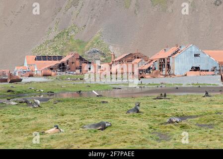 Die Walfangstation in Stromness, Südgeorgien. Antarktis Stockfoto