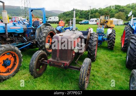 Oldtimer-Traktoren auf einer Landwirtschaftsmesse in Corwen Nordwales Stockfoto