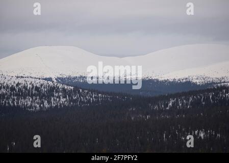 Pallas fällt im Frühling, Pallas-Yllästunturi-Nationalpark, Muonio, Lappland, Finnland Stockfoto