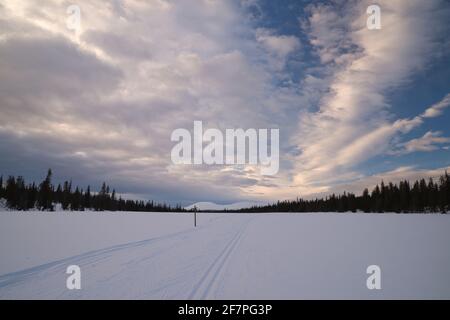 Pallas fällt im Frühling, Pallas-Yllästunturi-Nationalpark, Muonio, Lappland, Finnland Stockfoto