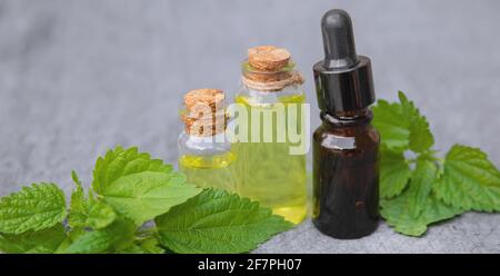 Brennnesselextrakt in einem kleinen Glas. Selektiver Fokus.Natur Stockfoto