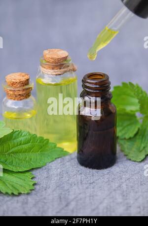 Brennnesselextrakt in einem kleinen Glas. Selektiver Fokus.Natur Stockfoto