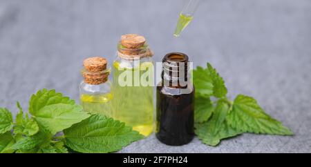 Brennnesselextrakt in einem kleinen Glas. Selektiver Fokus.Natur Stockfoto